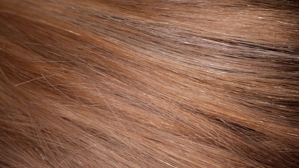 sleek shiny straight close up brunette hair