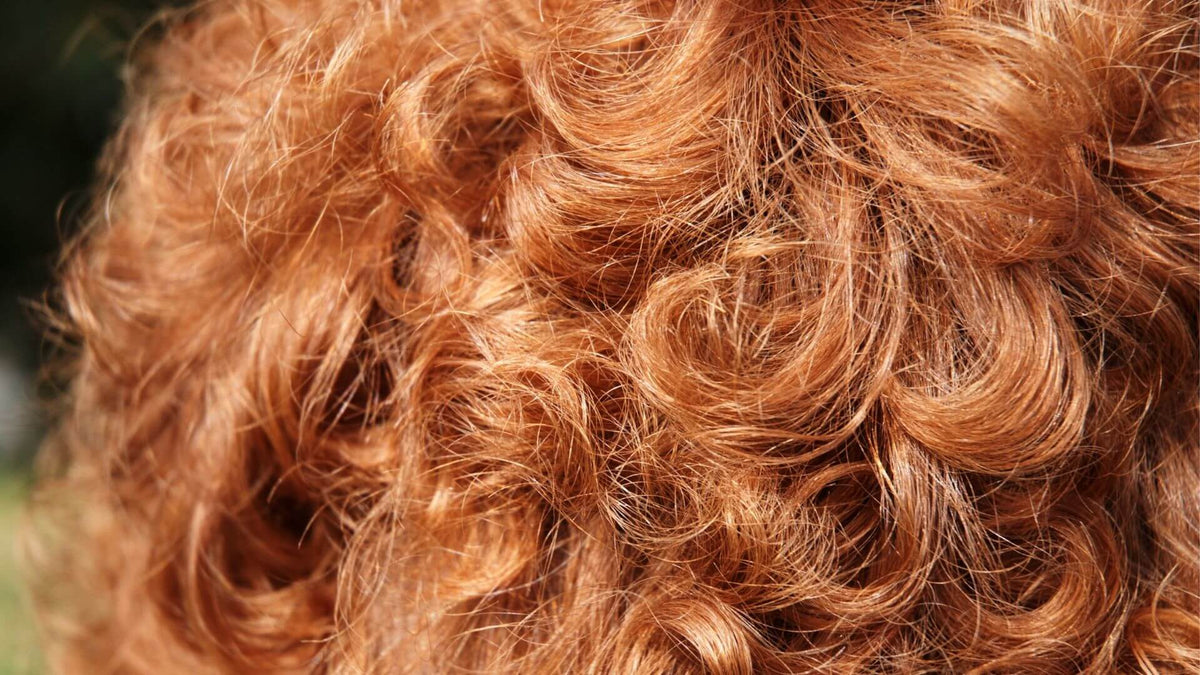 curly red hair
