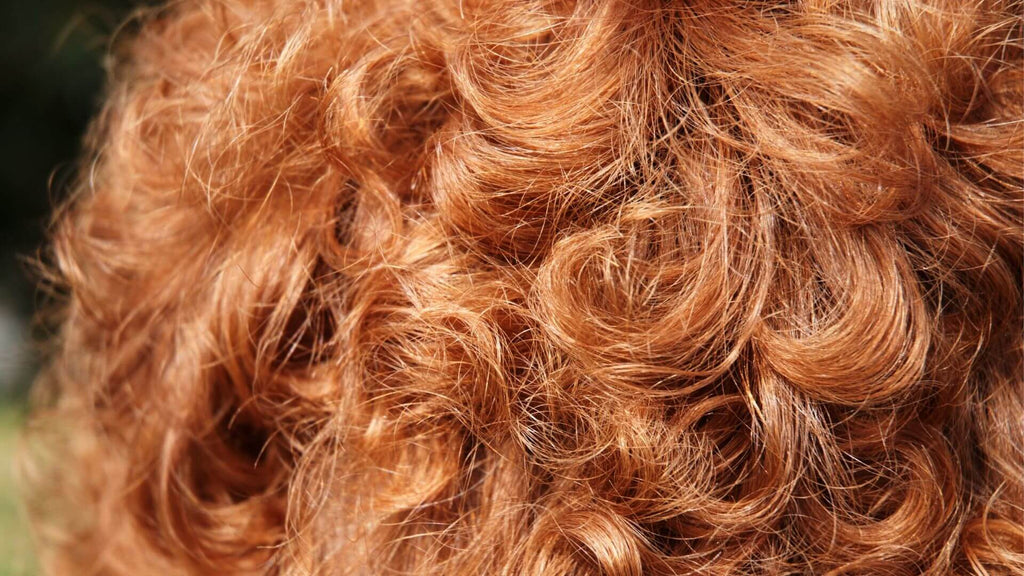 curly red hair