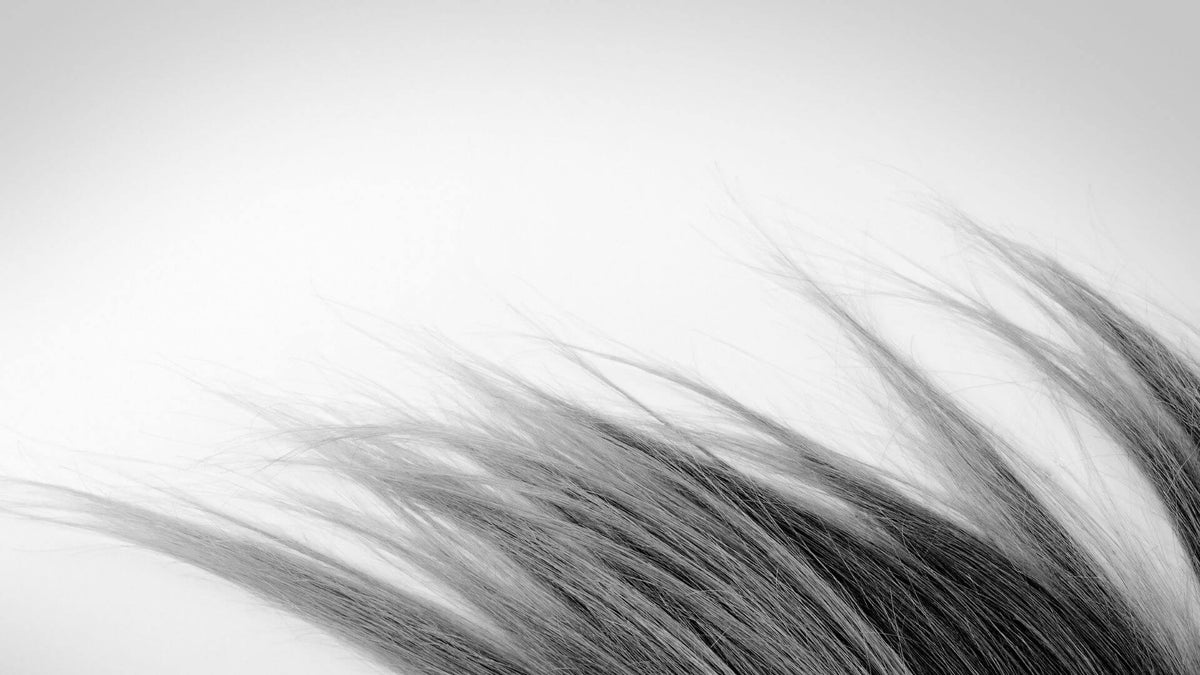 black straight hair ends