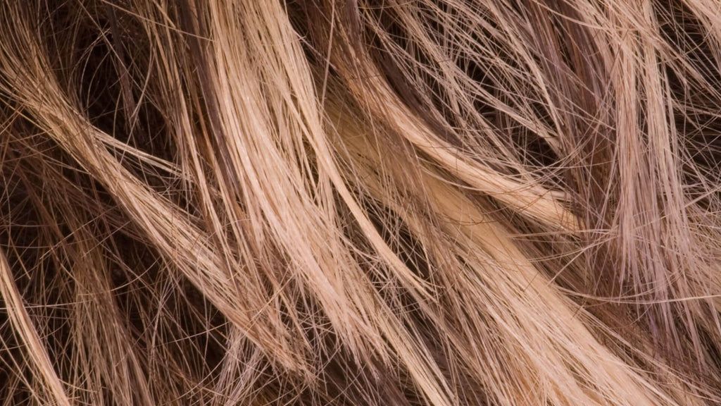 dirty blonde hair close up
