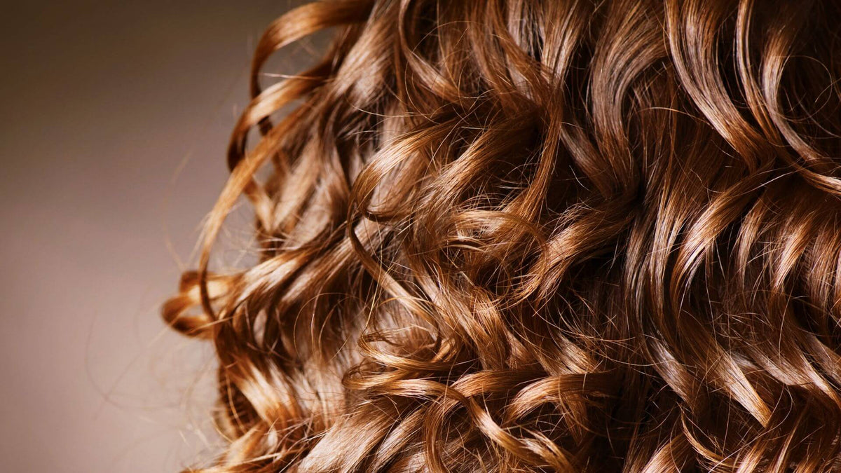 brunette curly hair brown background