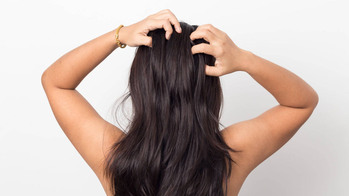 woman hands in scalp